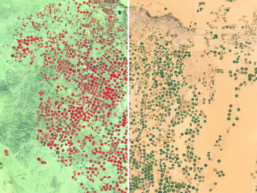 Sentinel 2 Map Viewer Sentinel-2 Cloudless Map Of The World By Eox